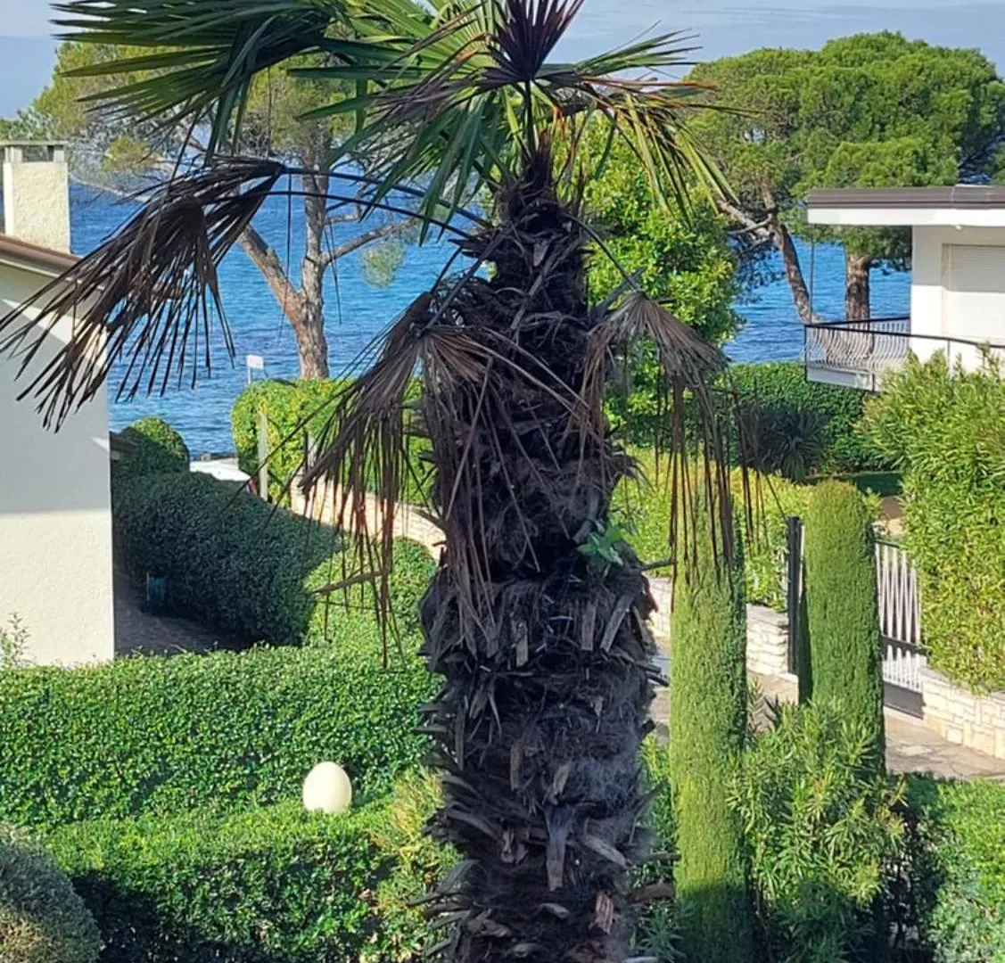 Verbena Holiday Apartment Lazise